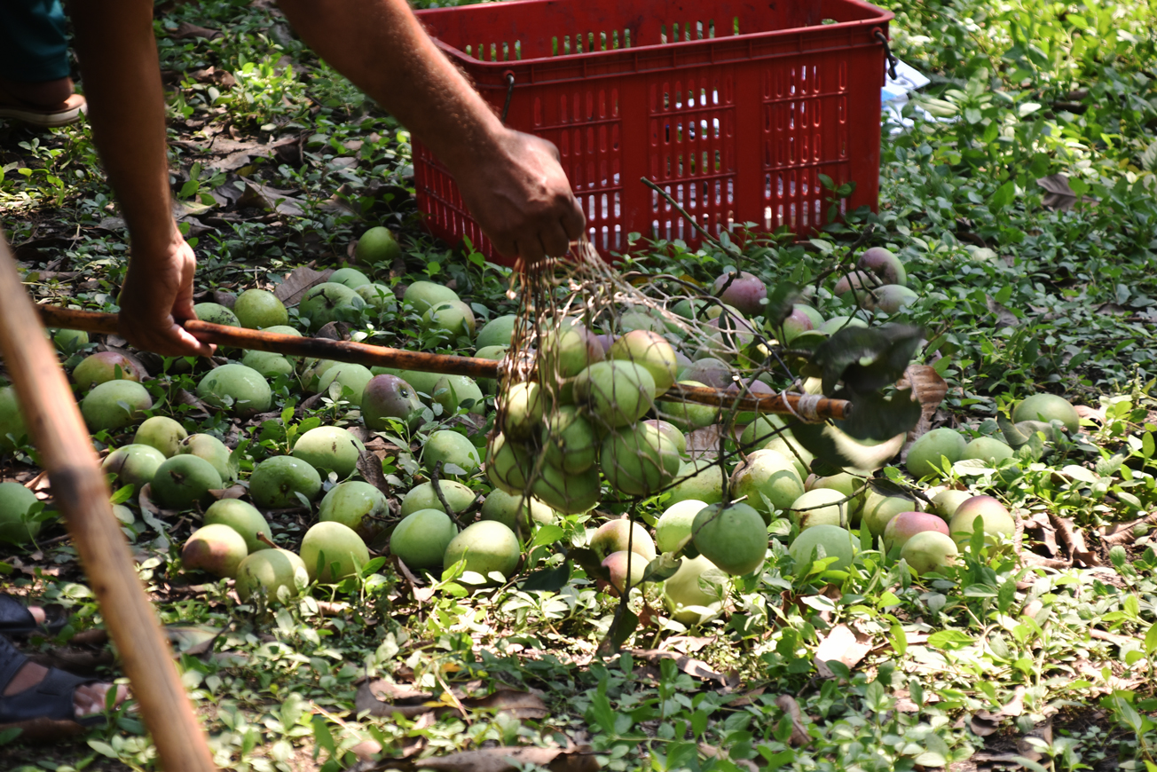 দিনের ছবি (১৫ মে, ২০২৬