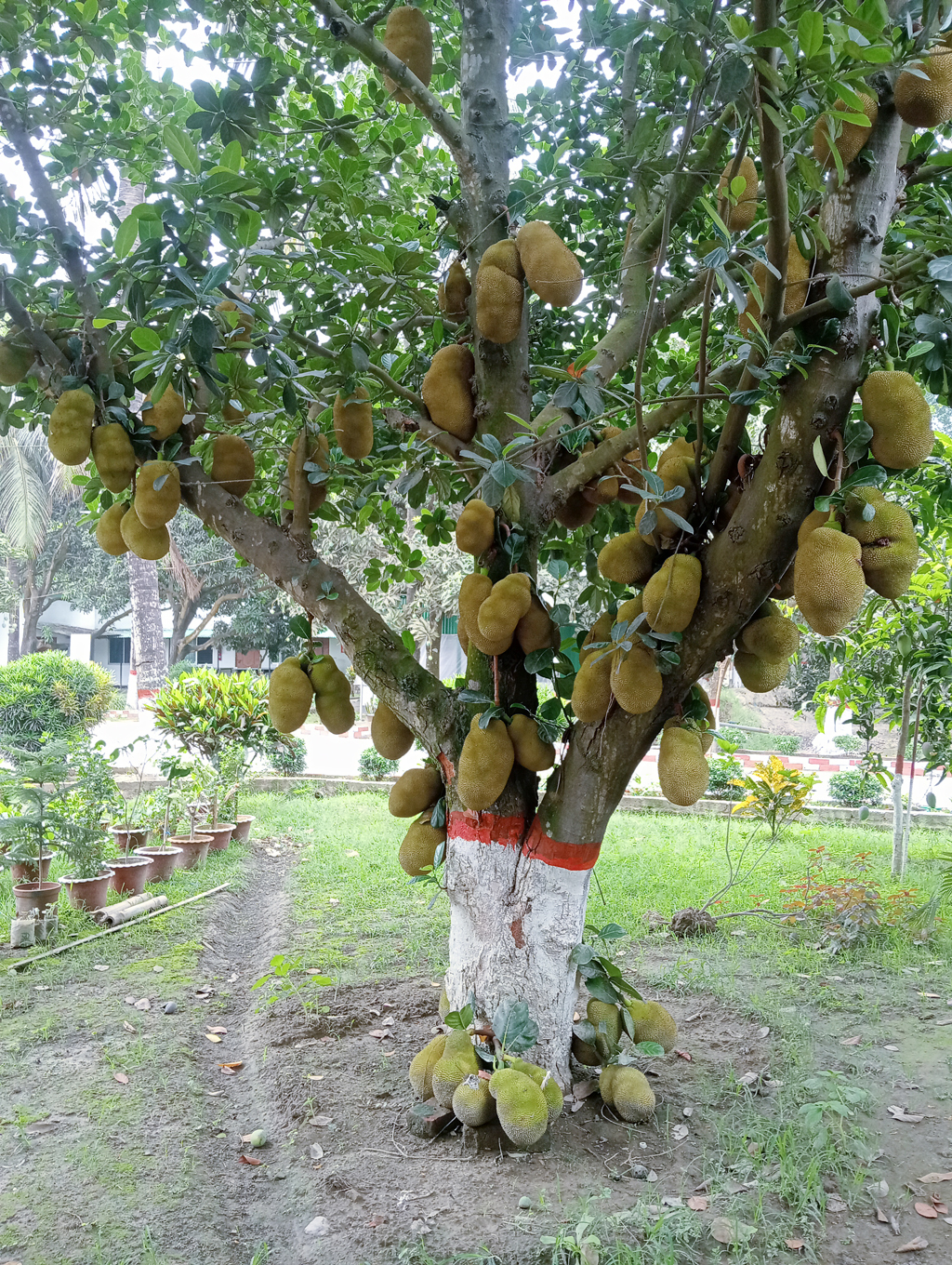 দিনের ছবি (১৫ মে, ২০২৬