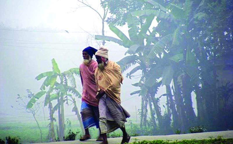 পঞ্চগড়ে কমতে শুরু করেছে রাতের তাপমাত্রা, সর্বনিম্ন তাপমাত্রা ১১ দশমিক ৩
