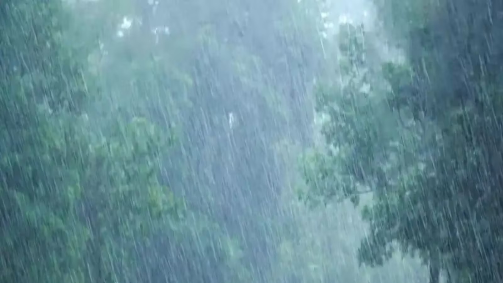 ঢাকাসহ দেশের বিভিন্ন এলাকায় আগামী ১০ দিন বজ্রসহ বৃষ্টি এবং কোথাও কোথাও ভারি বর্ষণ হতে পারে