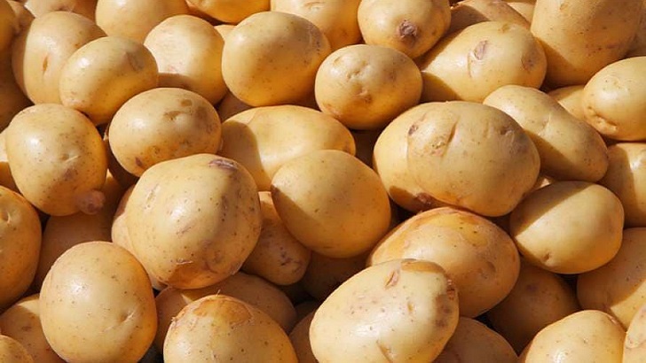 আলুর সর্বনিম্ন দাম বেঁধে দিলো সরকার