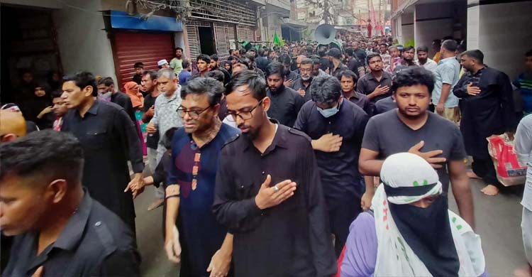 পবিত্র আশুরা উপলক্ষে ‘হায় হোসেন’, ‘হায় হোসেন’ ধ্বনিতে মুখরিত রাজধানী ঢাকার তাজিয়া মিছিল