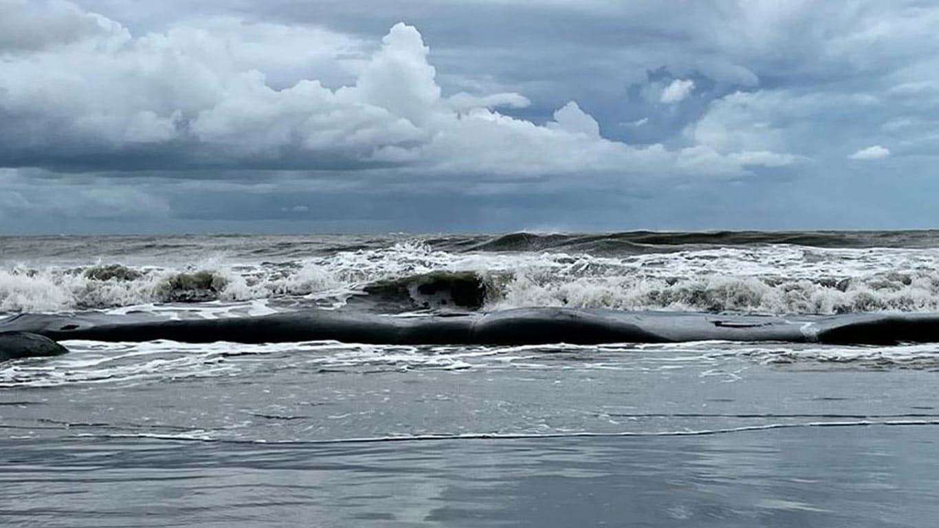 ঘূর্ণিঝড়ে রূপ নিতে পারে নিম্নচাপ, নাম হবে ‘মন্থার’
