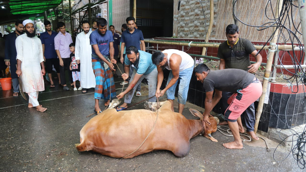 ঈদের জামাত শেষে সারা দেশে চলছে পশু কোরবানি