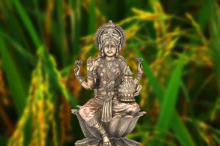 শ্রীশ্রী কোজাগরী লক্ষ্মী দেবীর পূজা আজ